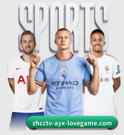 爱游戏体育围绕看球场景设计的核心服务